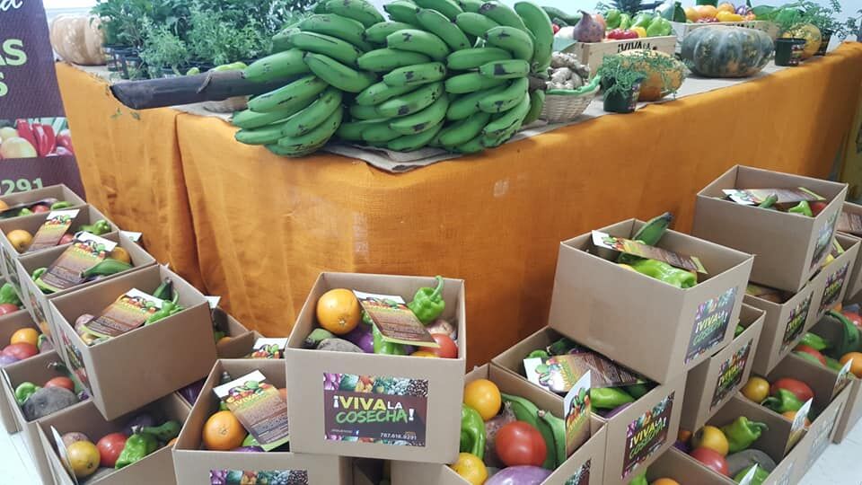 agro viva 2